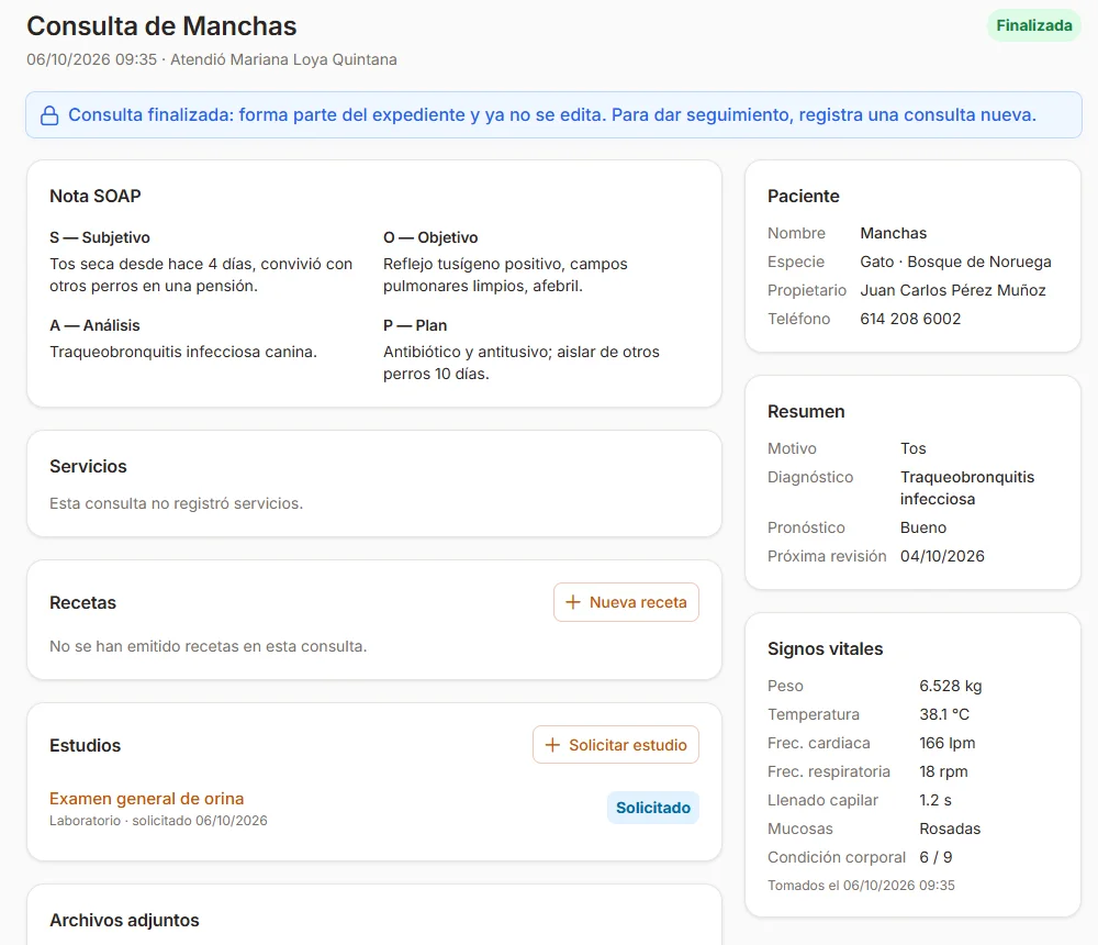 Consulta finalizada de un gato: nota SOAP, servicios, recetas, estudio de orina solicitado, resumen con diagnóstico y pronóstico, y signos vitales.